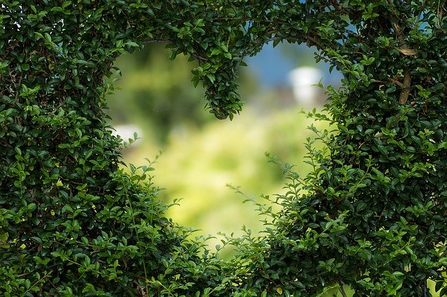 groen-verticale-tuin