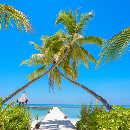 wanddoek-beach-palmtree